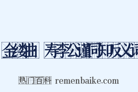 金缕曲·寿李公谨同知反义词是什么意思的图片